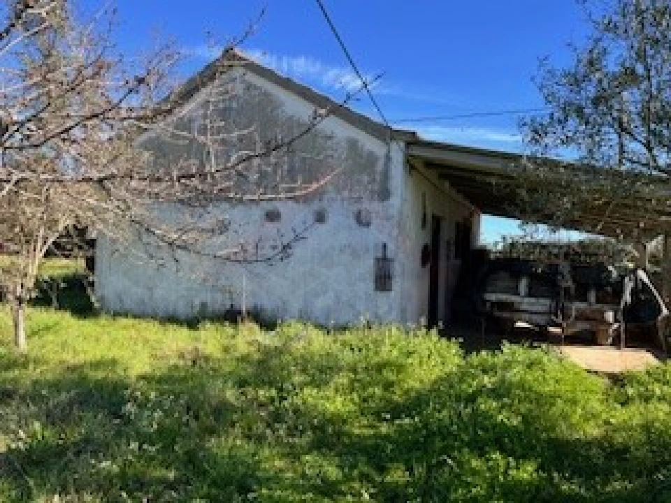 Terreno Agricola ou Rústico para Venda em Ferro Foto 15