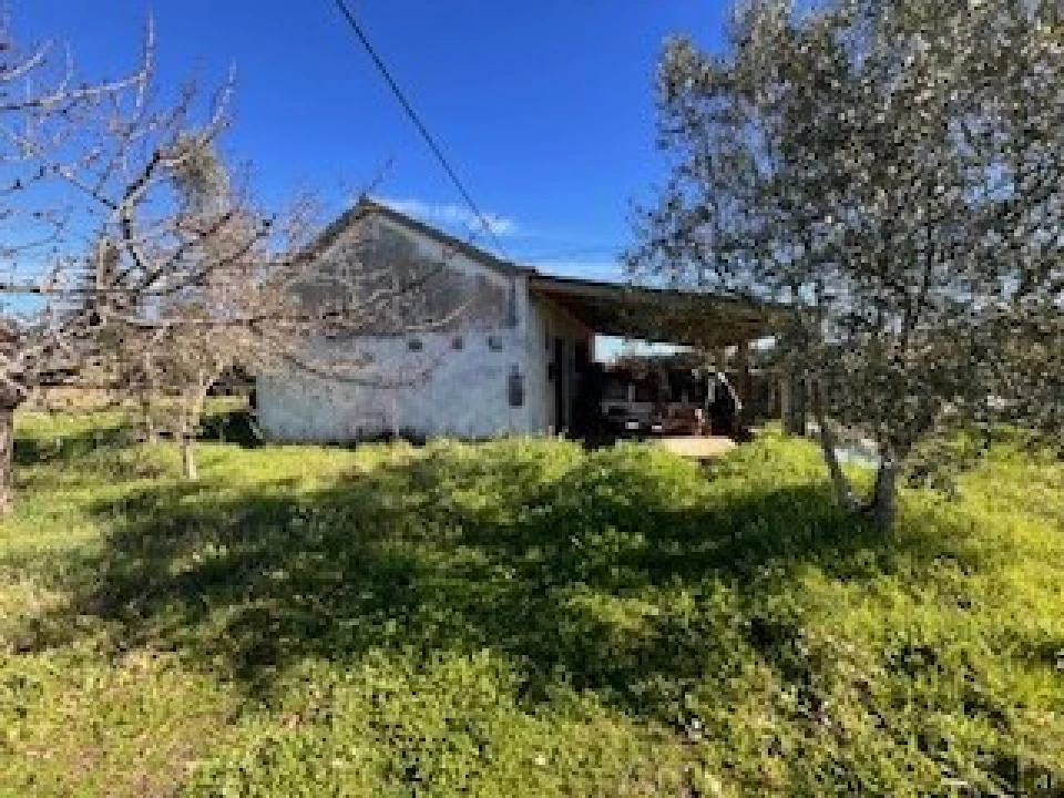 Terreno Agricola ou Rústico para Venda em Ferro Foto 16