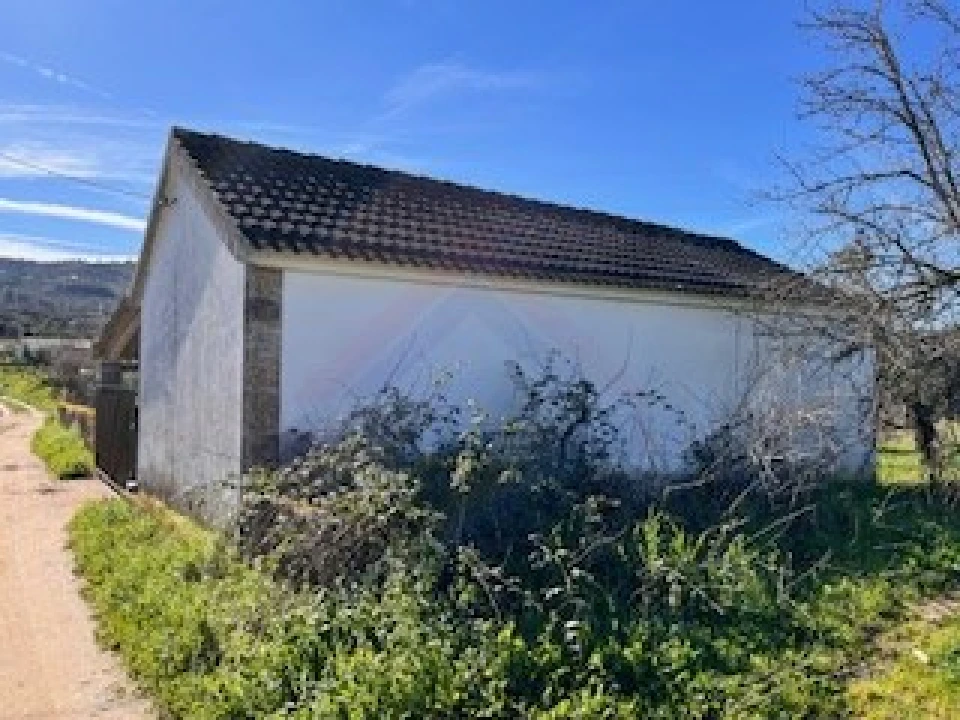 Terreno Agricola ou Rústico para Venda em Ferro Foto 21