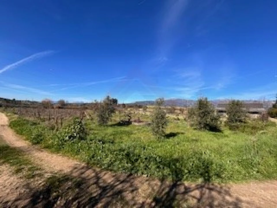 Terreno Agricola ou Rústico para Venda em Ferro Foto 24