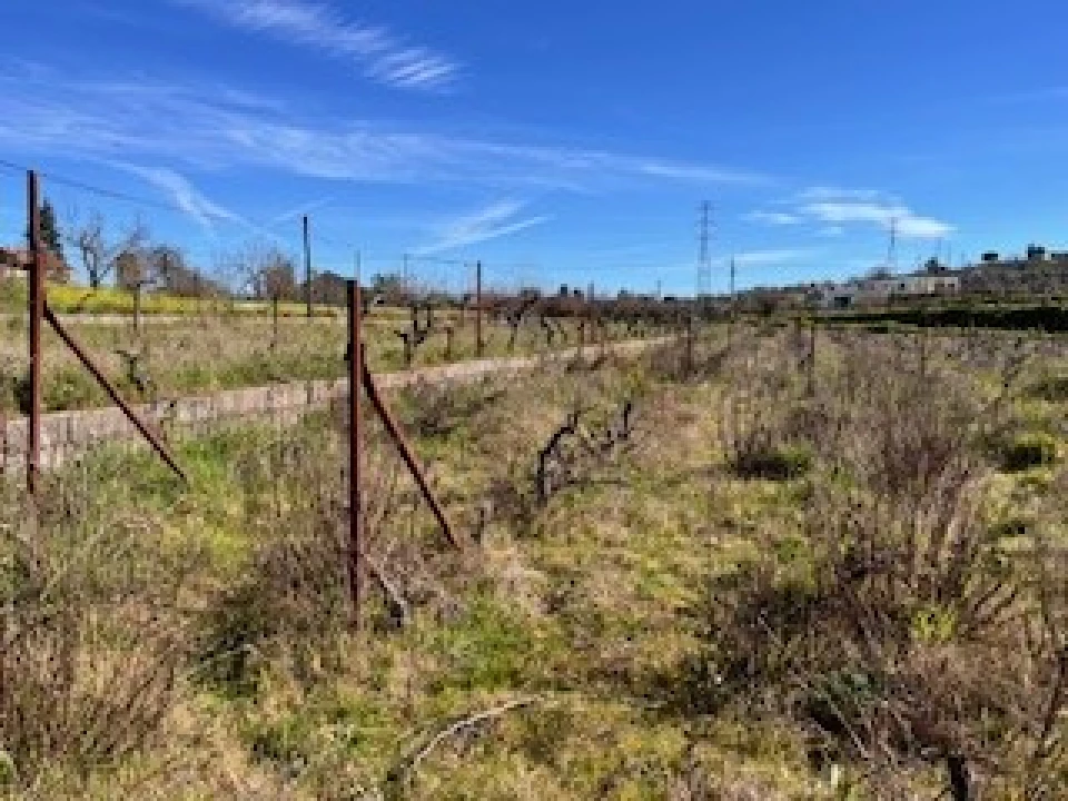 Terreno Agricola ou Rústico para Venda em Ferro Foto 34