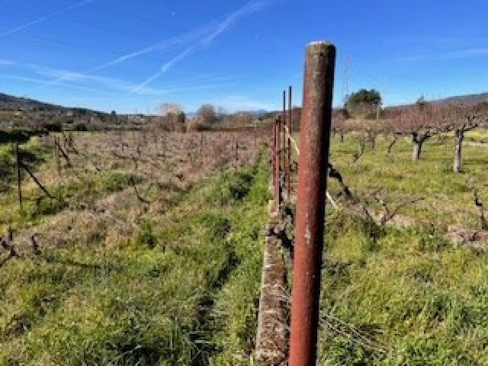 Terreno Agricola ou Rústico para Venda em Ferro Foto 36