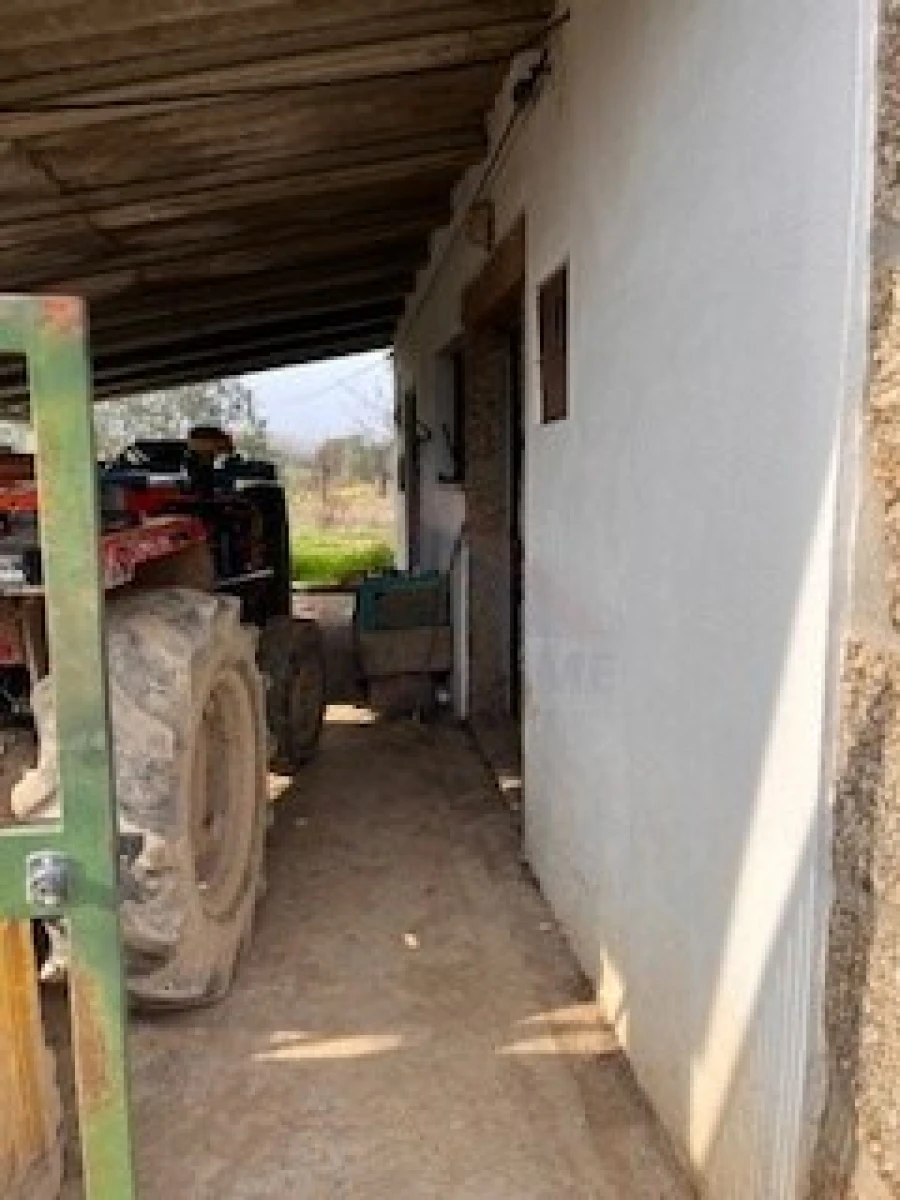 Terreno Agricola ou Rústico para Venda em Ferro Foto 10