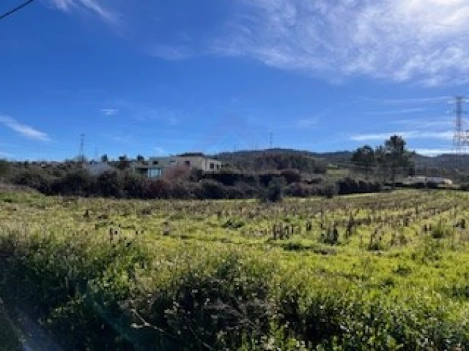 Terreno Agricola ou Rústico para Venda em Ferro Foto 12