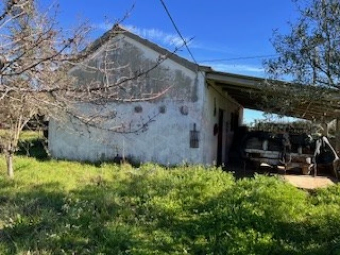 Terreno Agricola ou Rústico para Venda em Ferro Foto 15