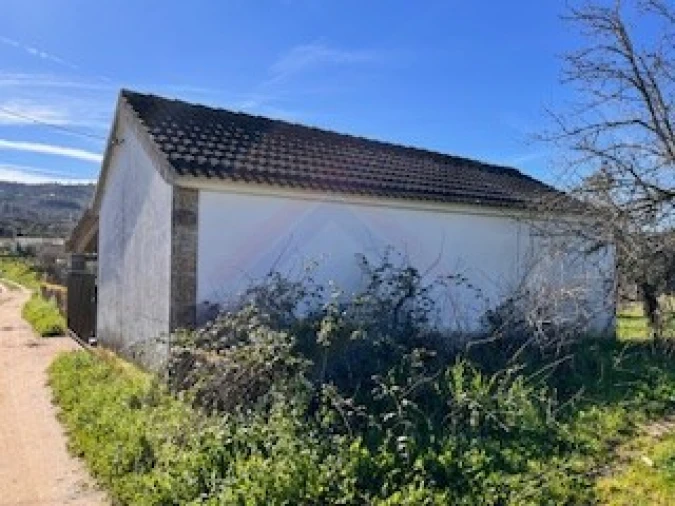 Terreno Agricola ou Rústico para Venda em Ferro Foto 21