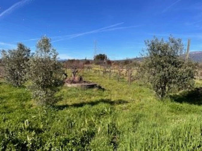 Terreno Agricola ou Rústico para Venda em Ferro Foto 23