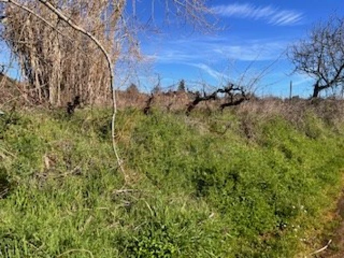Terreno Agricola ou Rústico para Venda em Ferro Foto 27