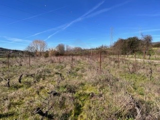 Terreno Agricola ou Rústico para Venda em Ferro Foto 35