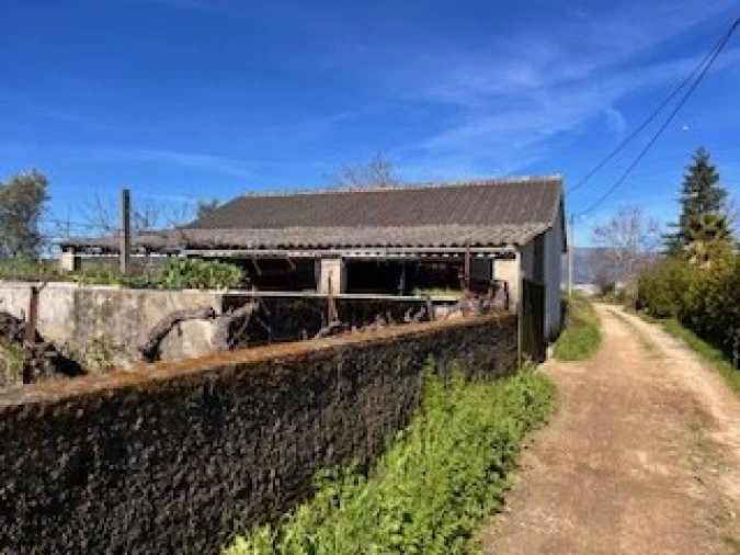Terreno Agricola ou Rústico para Venda em Ferro Foto 40