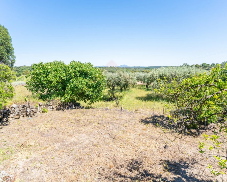 Quinta T3 para Venda em Vale de Prazeres e Mata da Rainha Foto 29