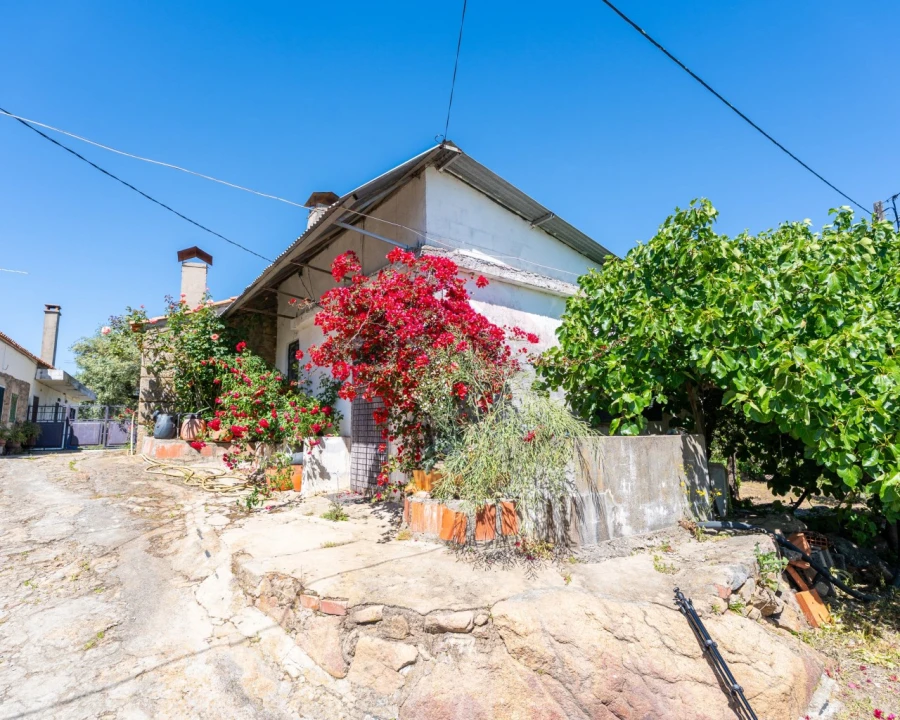 Quinta T3 para Venda em Vale de Prazeres e Mata da Rainha Foto 2