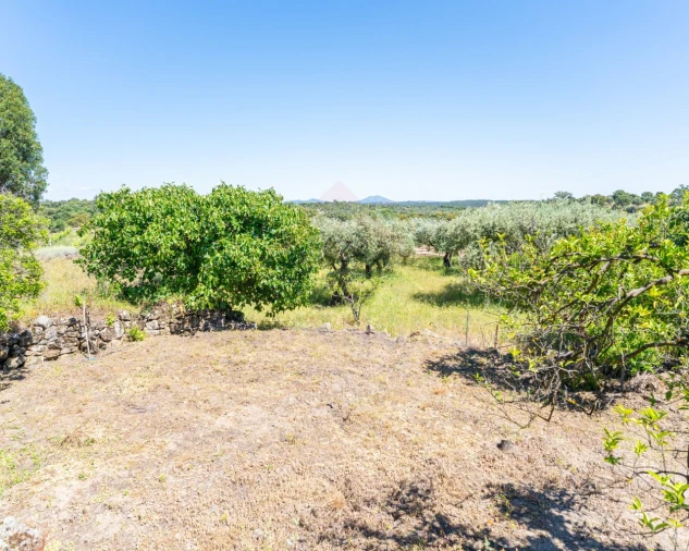 Quinta T3 para Venda em Vale de Prazeres e Mata da Rainha Foto 29