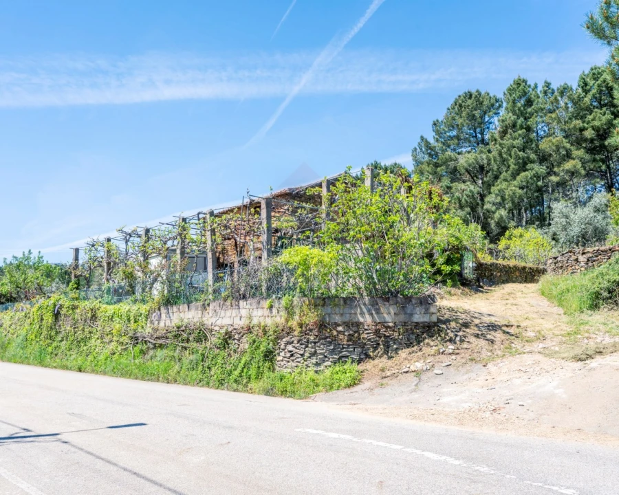 Quinta T3 para Venda em Teixoso e Sarzedo Foto 3