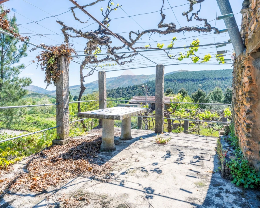 Quinta T3 para Venda em Teixoso e Sarzedo Foto 8