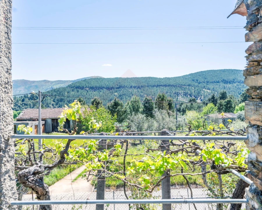 Quinta T3 para Venda em Teixoso e Sarzedo Foto 10