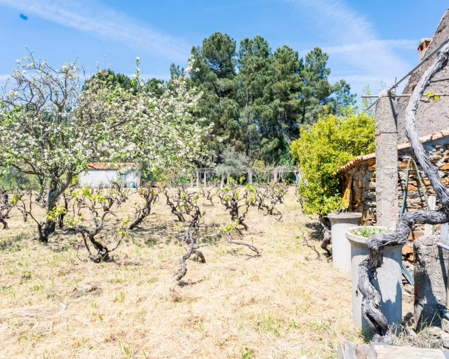 Quinta T3 para Venda em Teixoso e Sarzedo Foto 11