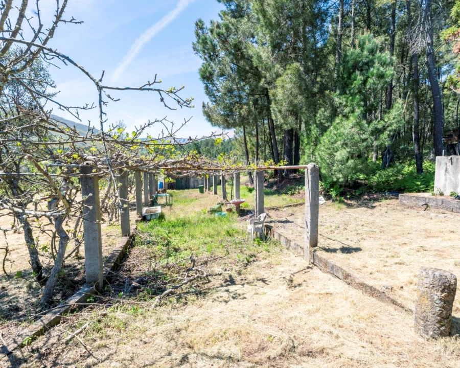 Quinta T3 para Venda em Teixoso e Sarzedo Foto 13