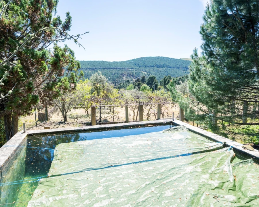 Quinta T3 para Venda em Teixoso e Sarzedo Foto 16