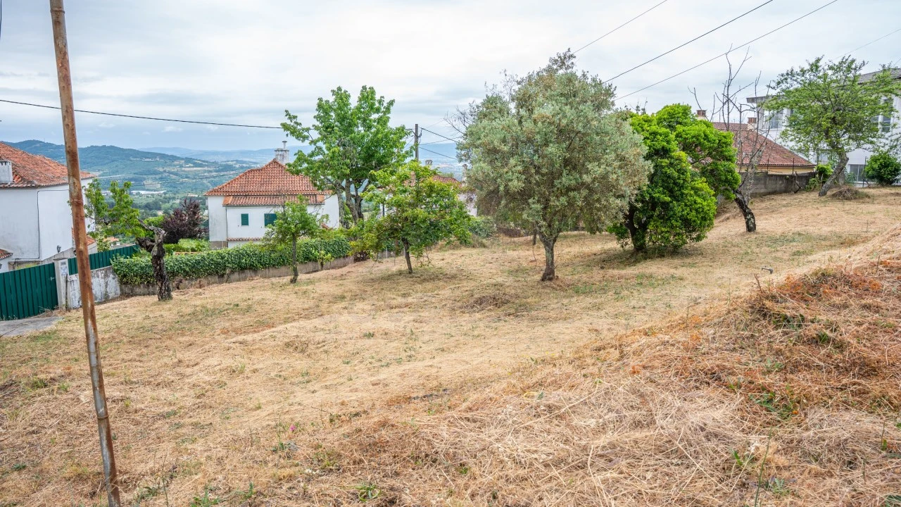 Terreno Agricola ou Rústico para Venda em Tortosendo Foto 5