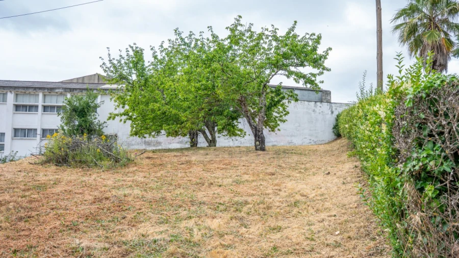 Terreno Agricola ou Rústico para Venda em Tortosendo Foto 7