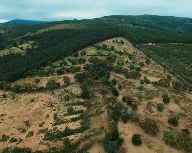 Quinta para Venda em Tortosendo Foto 6