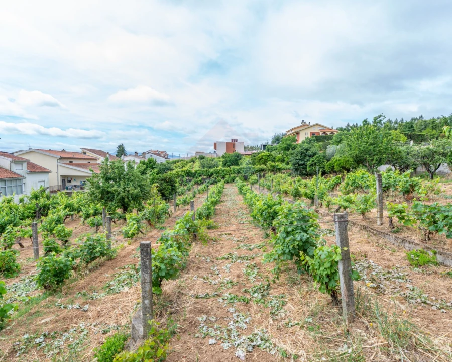 Moradia T3 para Venda em Tortosendo Foto 18