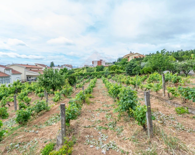 Moradia T3 para Venda em Tortosendo Foto 18