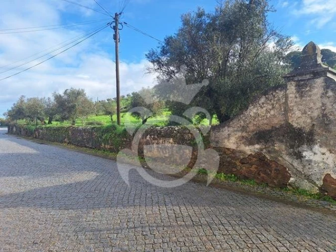 Terreno para Venda em Portel Foto 4