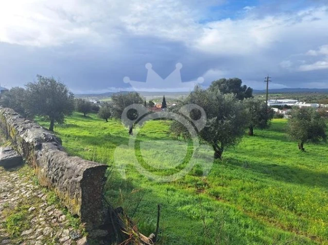 Terreno para Venda em Portel Foto 6