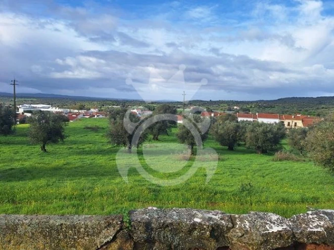 Terreno para Venda em Portel Foto 7