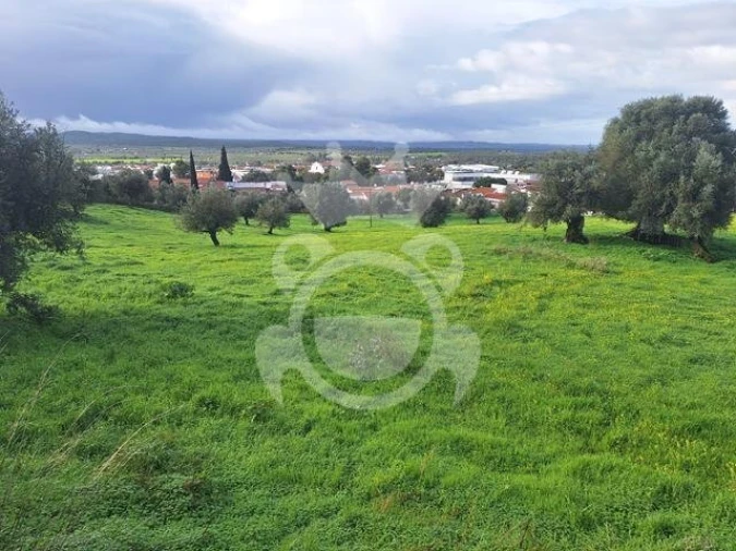 Terreno para Venda em Portel Foto 9