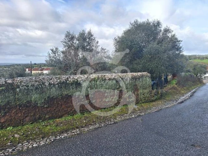 Terreno para Venda em Portel Foto 13