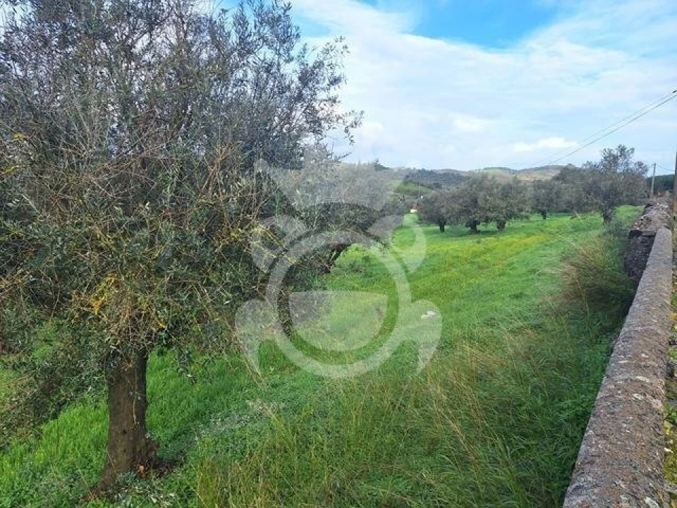 Terreno para Venda em Portel Foto 10
