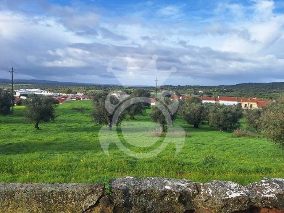 Terreno para Venda em Portel Foto 7