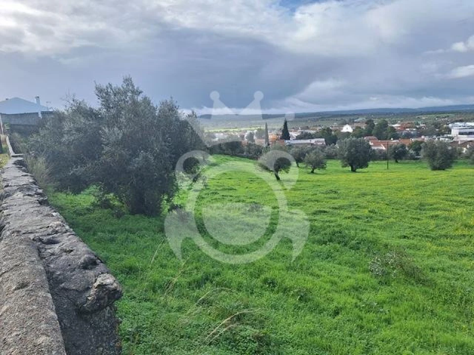 Terreno para Venda em Portel Foto 11
