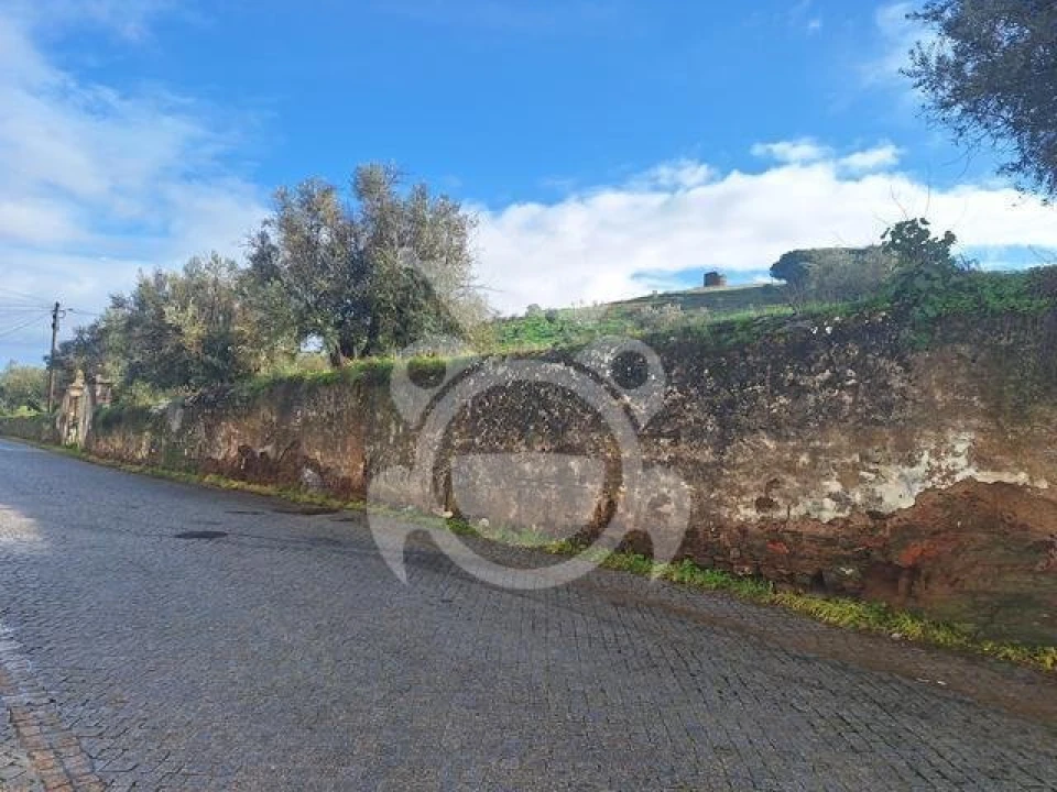 Terreno para Venda em Portel Foto 2