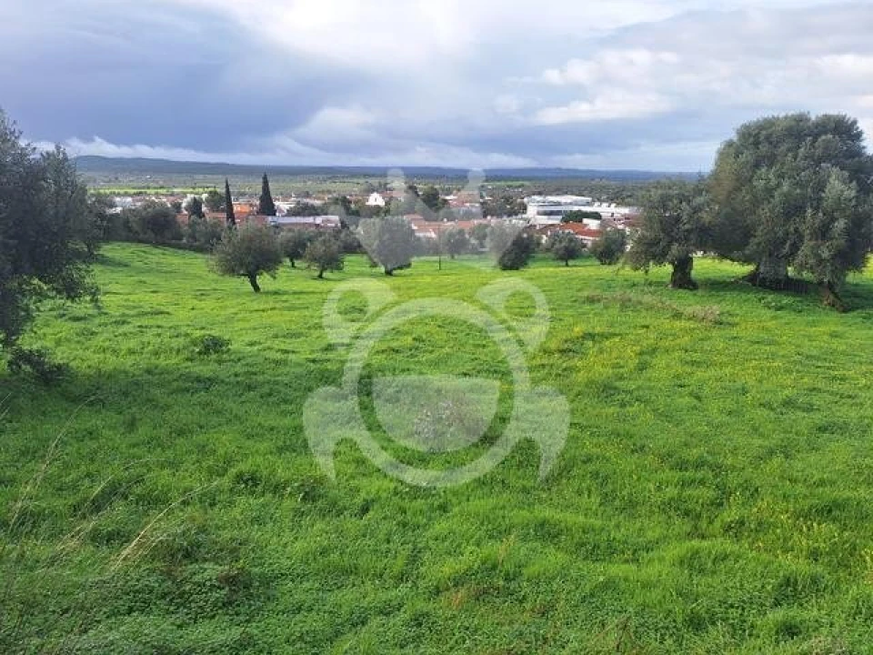 Terreno para Venda em Portel Foto 9