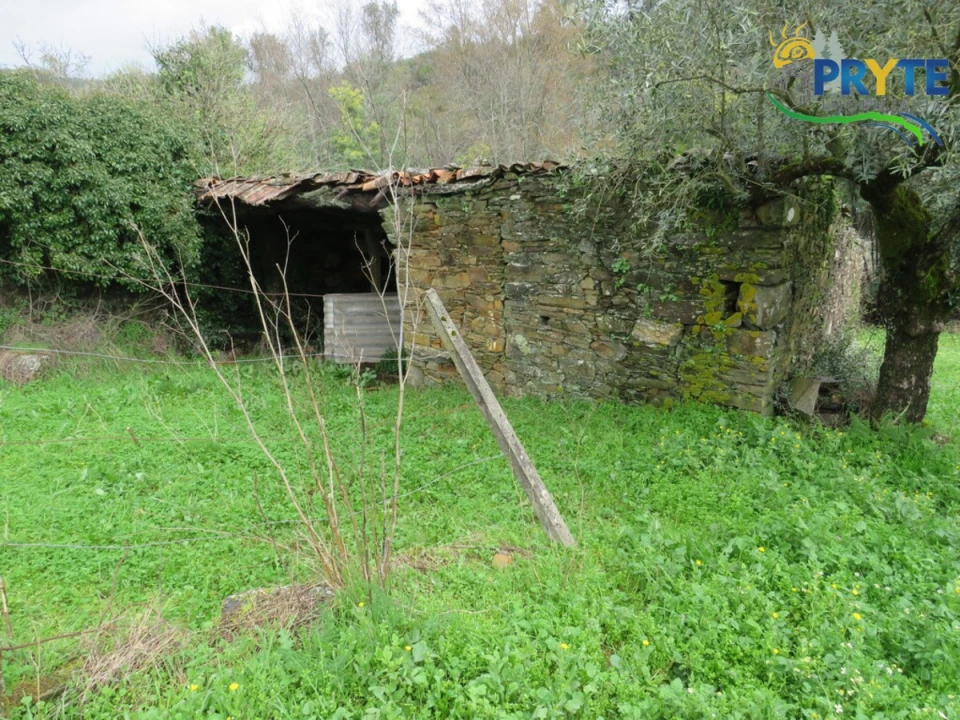 Terreno para Venda em Sertã Foto 1