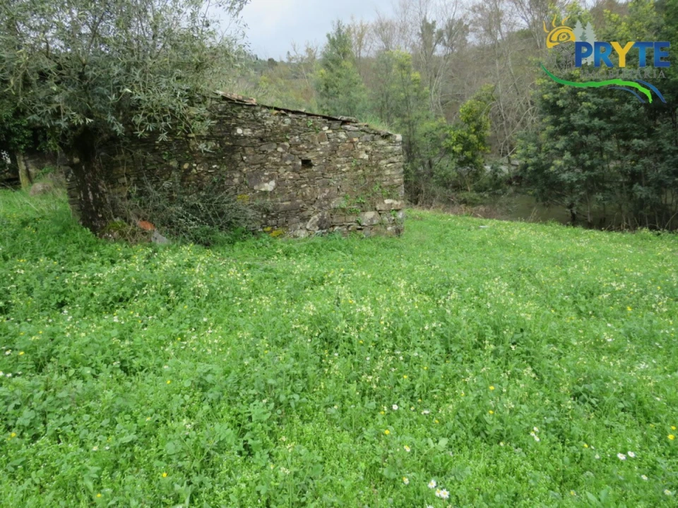 Terreno para Venda em Sertã Foto 3