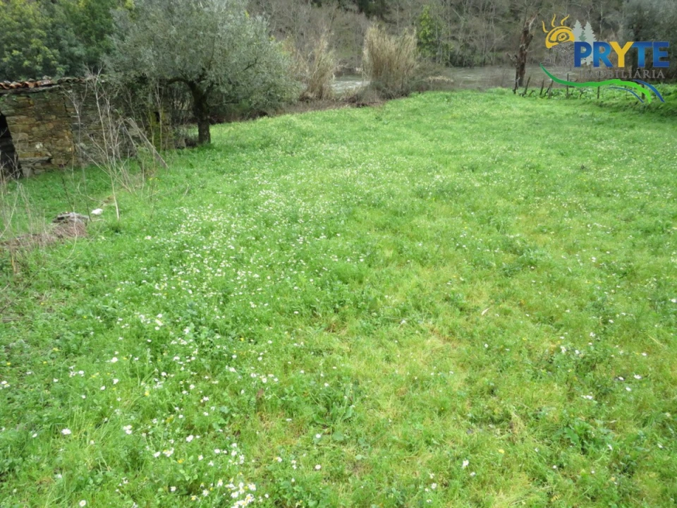 Terreno para Venda em Sertã Foto 7