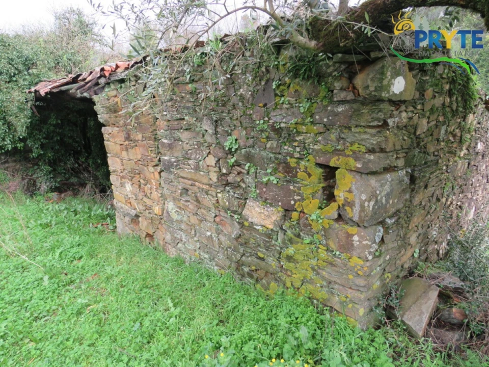 Terreno para Venda em Sertã Foto 13