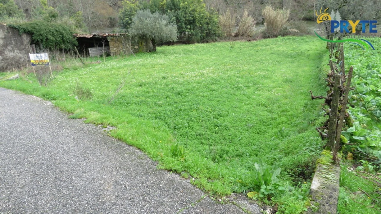 Terreno para Venda em Sertã Foto 17