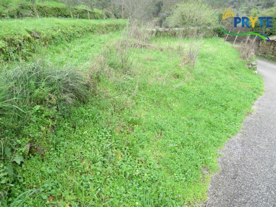 Terreno para Venda em Sertã Foto 21