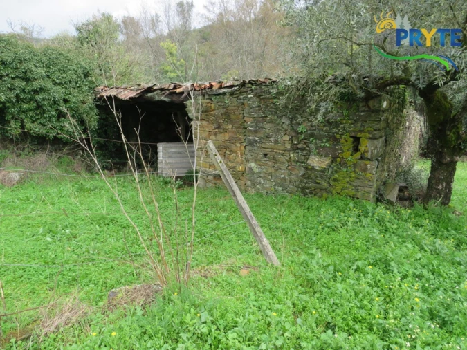 Terreno para Venda em Sertã