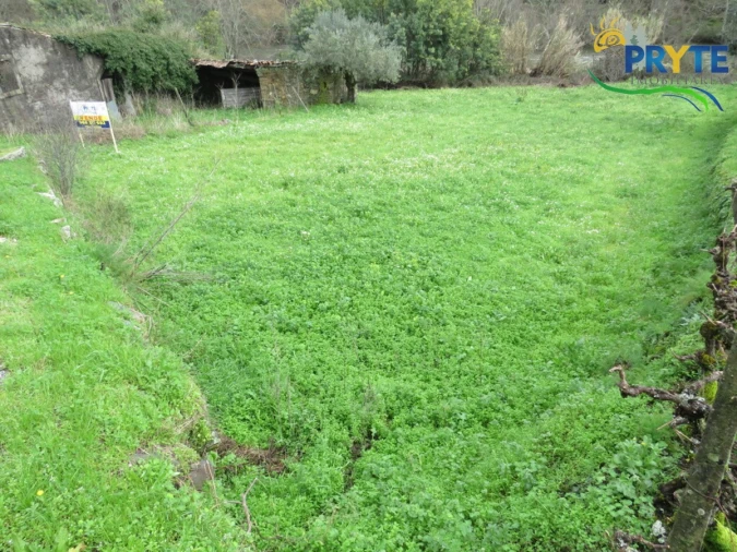 Terreno para Venda em Sertã Foto 5