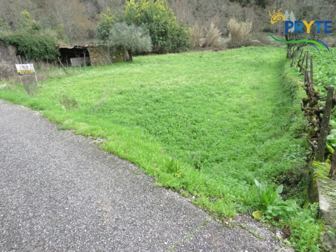 Terreno para Venda em Sertã Foto 6