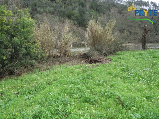 Terreno para Venda em Sertã Foto 10
