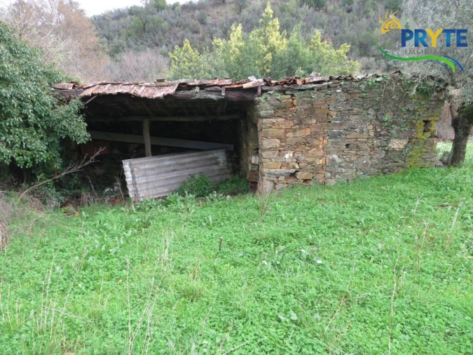 Terreno para Venda em Sertã Foto 11