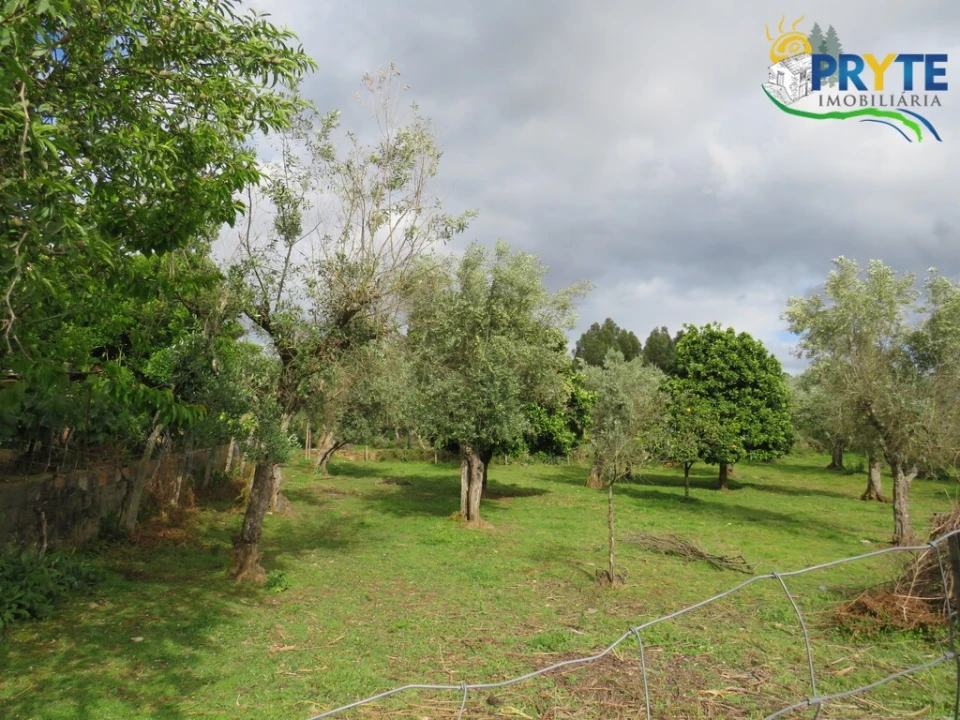Terreno para Venda em Cabeçudo Foto 3